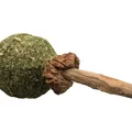 Następne zdjęcie produktu Lizak do żucia MATATABI 11 cm produkt naturalny