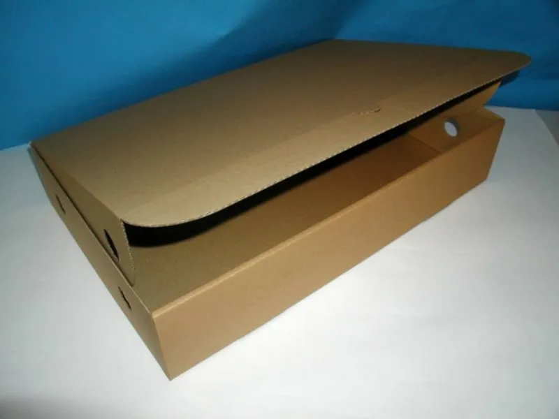 Główne zdjęcie produktu Krabice na kuřata 57 x 36 x 11 [1 ks]