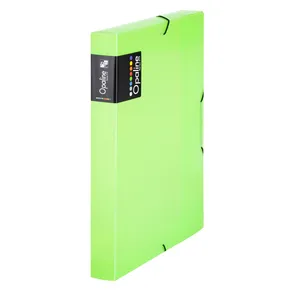 Pudełko PP z gumką A4 Opaline Green