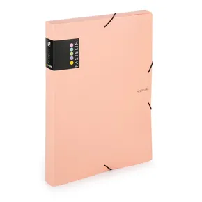 Pudełko PP z gumką A4 PASTELINI morela