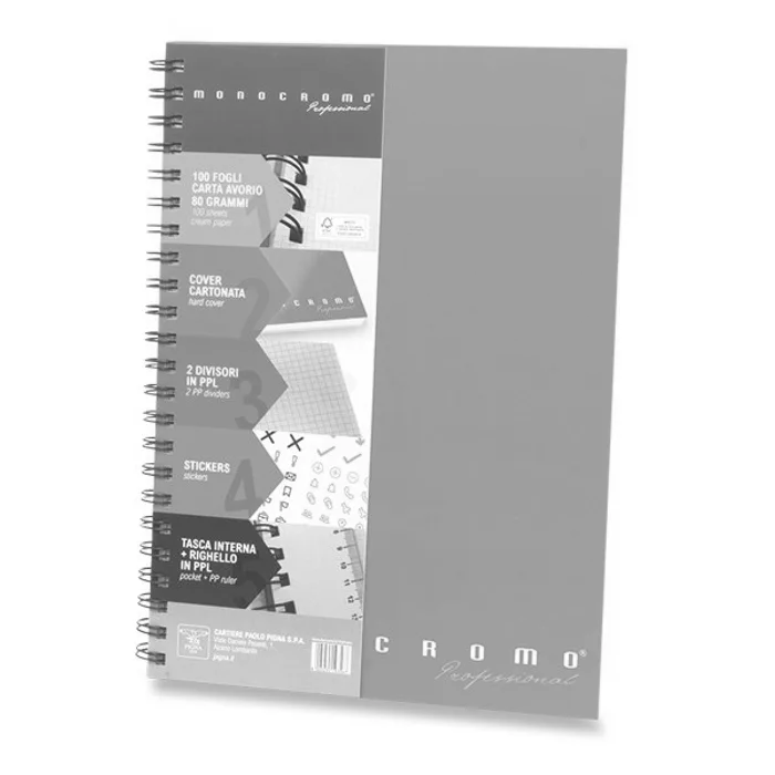 Główne zdjęcie produktu Kroužkový blok Pigna Monocromo Professional A4, čtverečkovaný, 100 listů, mix barev