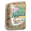 LOLOpets siano dla gryzoni 250 g
