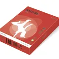 Następne zdjęcie produktu MAESTRO kolor INTENSIVE 160g 250 ark. Coral Red - CO44