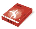 MAESTRO kolor INTENSIVE 160g 250 ark. Coral Red - CO44