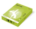 MAESTRO kolor INTENSIV 80g 500 ark. Lime Green - LG46