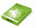 MAESTRO kolor INTENSIV 80g 500 ark. Spring Green - MA42