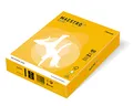 MAESTRO color INTENSIVE 160g 250 ark. Sun Yellow - SY40