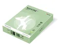 MAESTRO kolor PASTELL 160g 250 arkuszy Medium Green - MG28