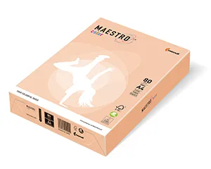 MAESTRO kolor PASTELL 160g 250 ark. Łosoś - SA24
