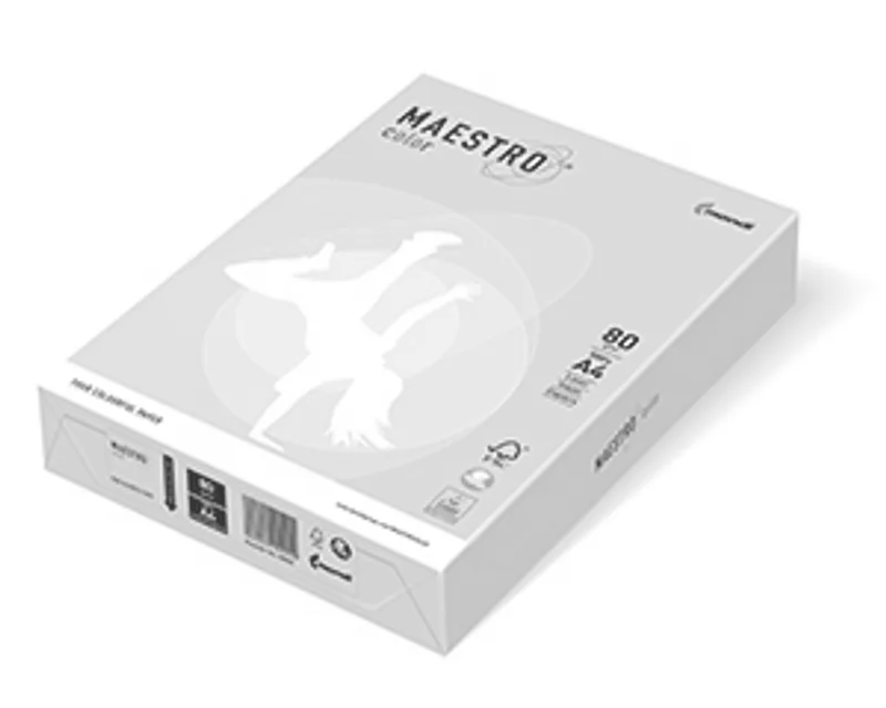 Główne zdjęcie produktu MAESTRO color PASTELL 80g 500 listů Salmon - SA24
