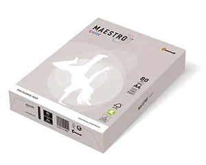 MAESTRO kolor TREND 160g 250 ark. Szary - GR21