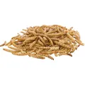 Następne zdjęcie produktu MĄCZNIKI, suszenie mączników, 200 g