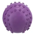Następne zdjęcie produktu Piłka z kolcami i dźwiękiem 6 cm