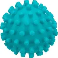 Piłka z kolcami 6 cm TRIXIE