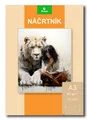 Szkicownik - A3 [20 arkuszy]