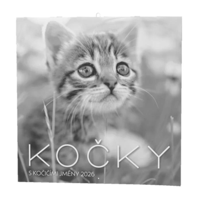 Główne zdjęcie produktu Nástěnný kalendář - Kočky