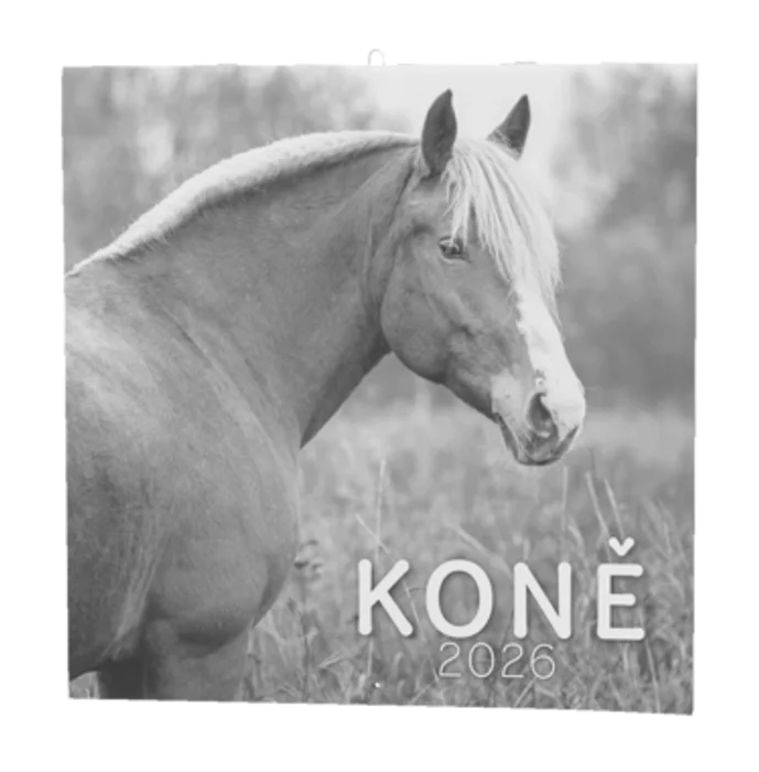 Główne zdjęcie produktu Nástěnný kalendář - Koně