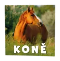 Kalendarz ścienny - Konie
