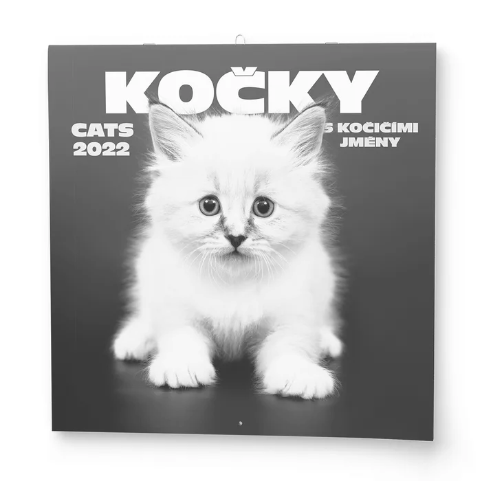 Główne zdjęcie produktu Nástěnný kalendář - Poznámkový - Kočky