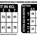 Następne zdjęcie produktu Natural Woodland Backwoods Diet Cat & Kitten /vepřové/5 kg