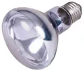 Neodymowa lampa punktowa wygrzewająca 35 W
