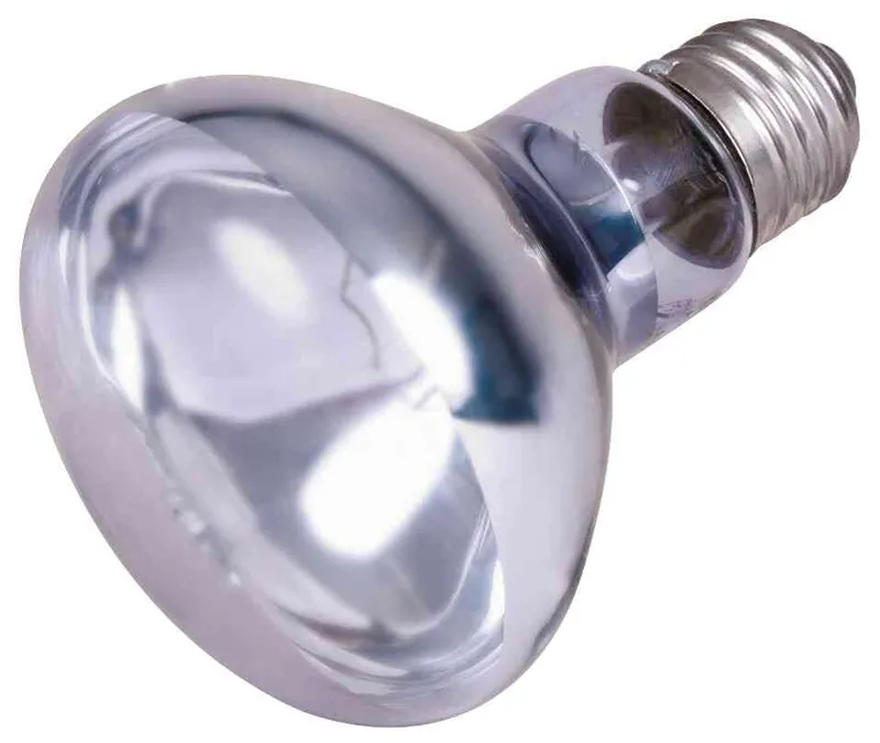 Główne zdjęcie produktu Neodymium Basking-Spot-Lamp 35 W
