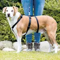 Następne zdjęcie produktu Szelki nylonowe STAY (antyucieczkowe) S-M: klatka piersiowa: 40-65cm/15mm