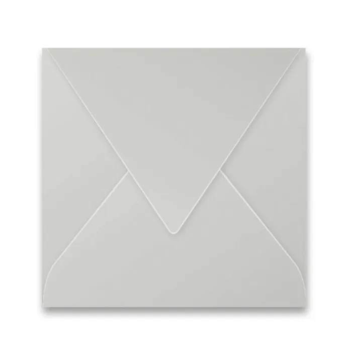Główne zdjęcie produktu Obálka Clairefontaine, 165 x 165 mm, stříbrná, 20 ks