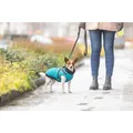 Następne zdjęcie produktu Kombinezon PONTIS - kamizelka z uprzężą, turkusowy S: 40cm, klatka piersiowa: 58-62cm, szyja: 46cm