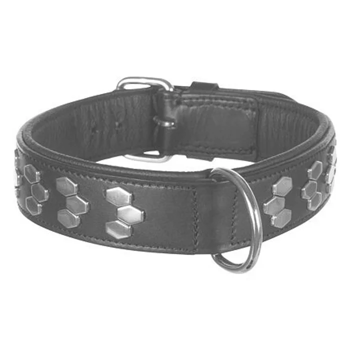Główne zdjęcie produktu Obojek ACTIVE kožený - černý L:45-55cm/40mm