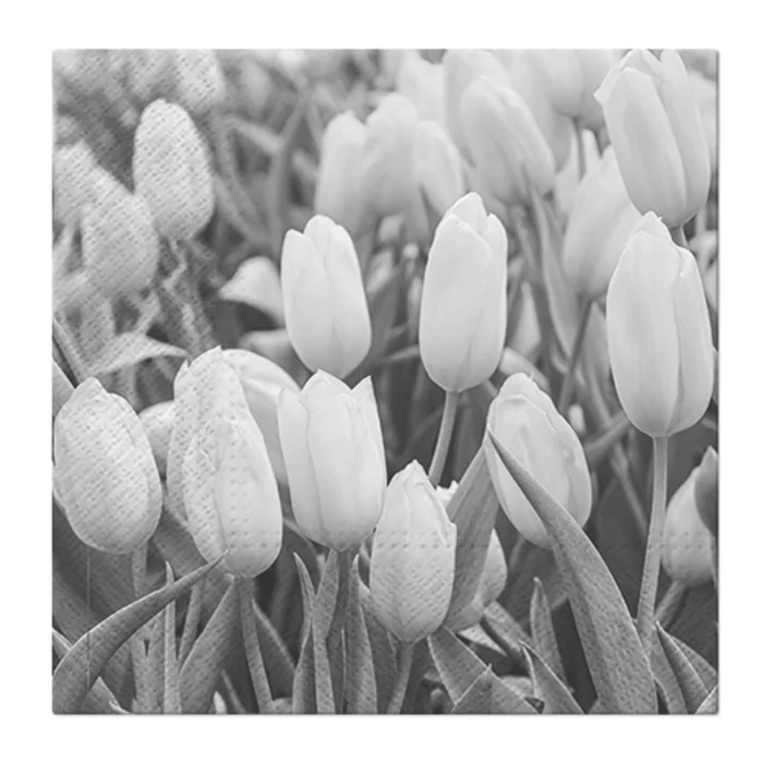 Główne zdjęcie produktu Obrúsky PAW L 33x33cm Tulips Field