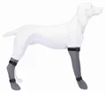 Następne zdjęcie produktu Skarpetka ochronna silikonowa, szara S: 6 cm/30 cm, np. Jack Russel terrier