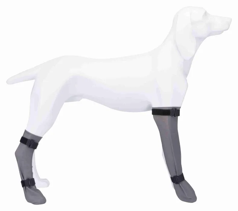 Główne zdjęcie produktu Ochranná silikonová ponožka, šedá XL: 12 cm/45 cm, např. německý ovčák