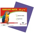 papier do edukacji artystycznej A4/100/80g fioletowy