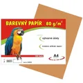 papier do edukacji artystycznej A4/100/80g brązowy