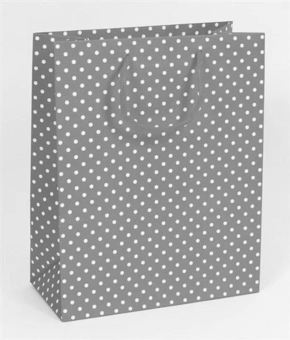 Główne zdjęcie produktu Papírová taška dárková 18x10x23 cm červená s puntíky