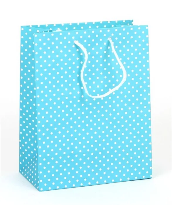 Główne zdjęcie produktu Papírová taška dárková 18x10x23 cm světle modrá s puntíky