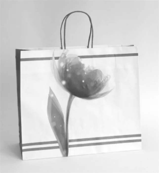 Główne zdjęcie produktu Papírová taška dárková 35x13x31 cm tulipán