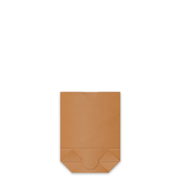 Główne zdjęcie produktu Papírový sáček (FSC Mix) s křížovým dnem kraft 22,5 x 31 cm `2kg` [1000 ks]