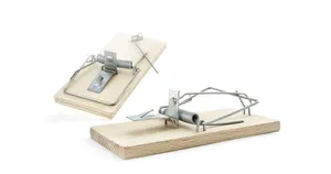 Kleje do myszy, klasyczne [1 szt.]