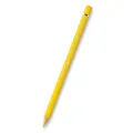 Pastele Albrechta Dürera 107 (8200-107) Faber-Castell (117607)