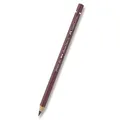 Pastele Albrechta Dürera 169 (8200-169) Faber-Castell (117669)