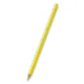 Pastele Polychromos 104 (9201-104) Faber-Castell (110104)