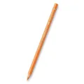 Pastele Polychromos 111 (9201-111) Faber-Castell (110111)