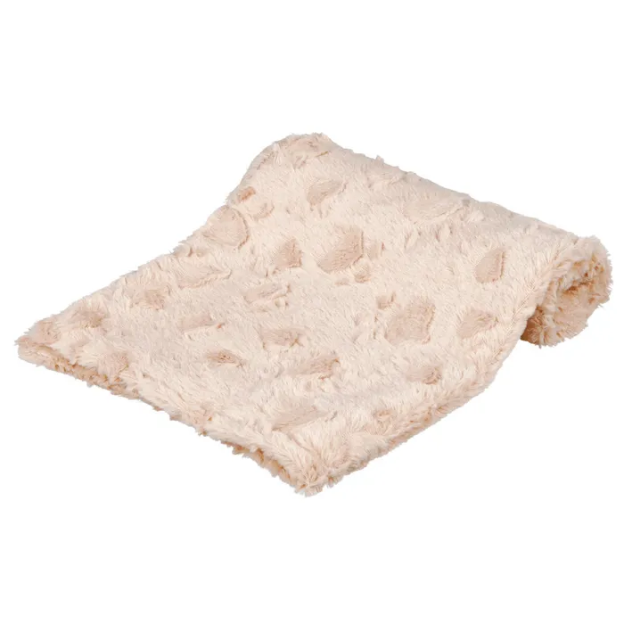 Główne zdjęcie produktu Plyšová deka COSY, béžová 70 x 50 cm