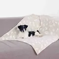Następne zdjęcie produktu Pluszowy kocyk KENNY w kolorze beżowym z kostkami i łapkami 100 x 75 cm
