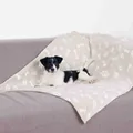 Następne zdjęcie produktu Pluszowy kocyk KENNY w kolorze beżowym z kościami i łapkami 75 x 50 cm