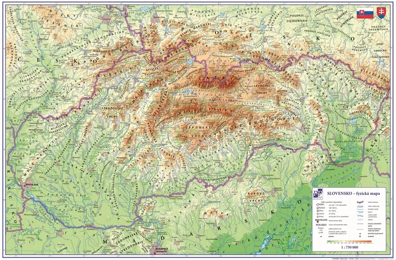 Główne zdjęcie produktu Podložka na stůl 60x40cm Slovensko