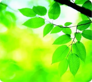 Podkładka pod mysz, recyklowana, FELLOWES "Earth Series", liście
