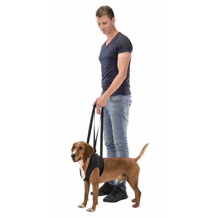Główne zdjęcie produktu Podpůrná pomůcka k chůzi L 65-75 cm černá